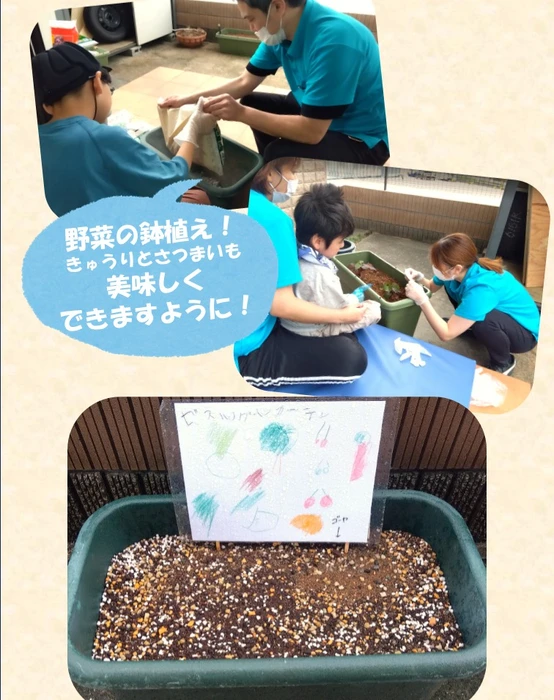 画像347
