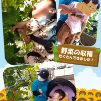 画像356