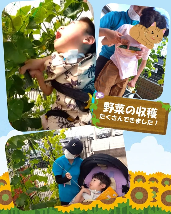 画像356